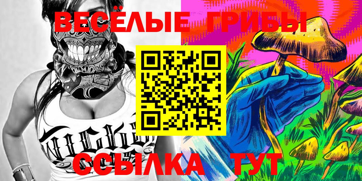 Галлюциногенные грибы Cubensis  Вход с VPN  Новотроицк 